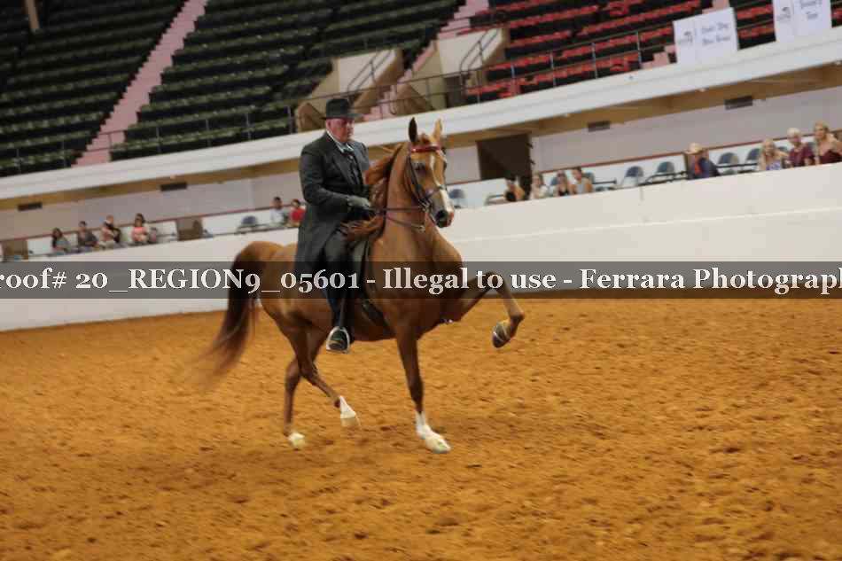 Proof 20_REGION9_05601