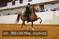 20_REGION9_05603 proof