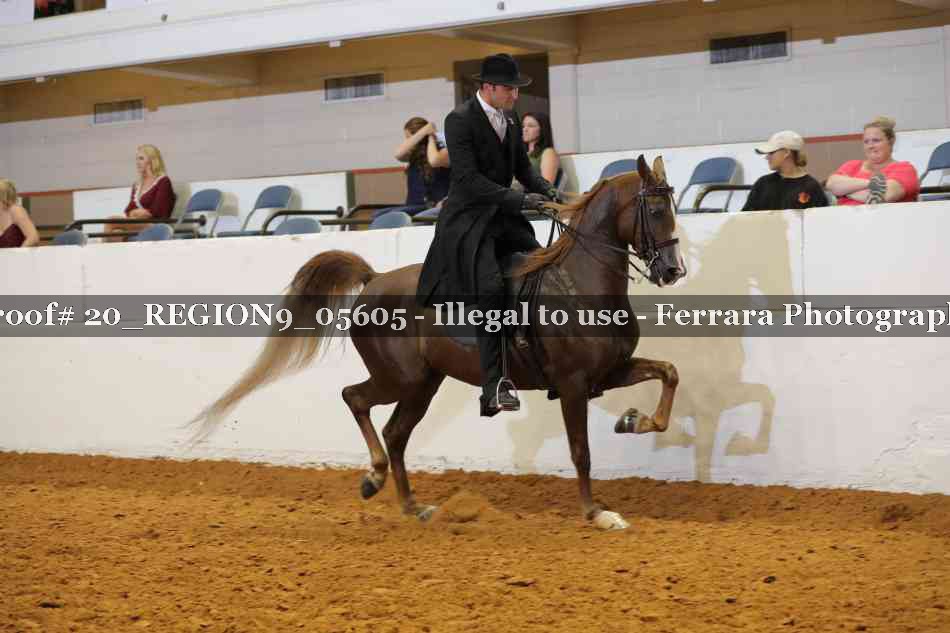 Proof 20_REGION9_05605