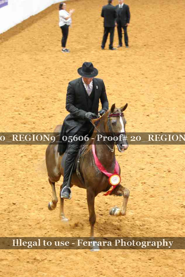 Proof 20_REGION9_05606