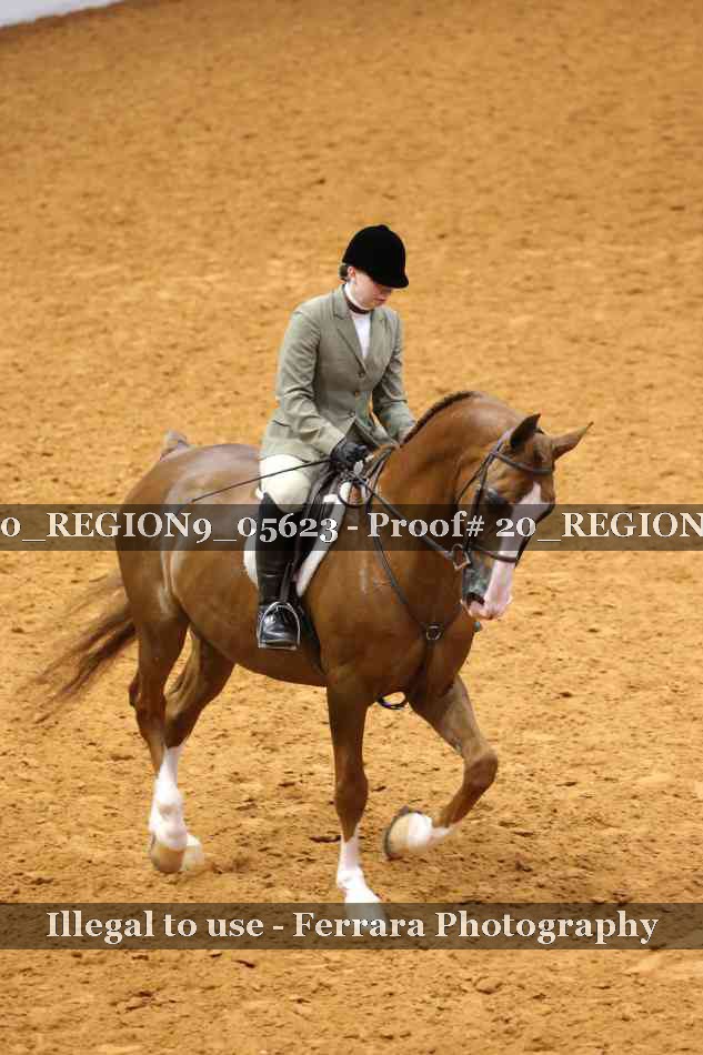 Proof 20_REGION9_05623