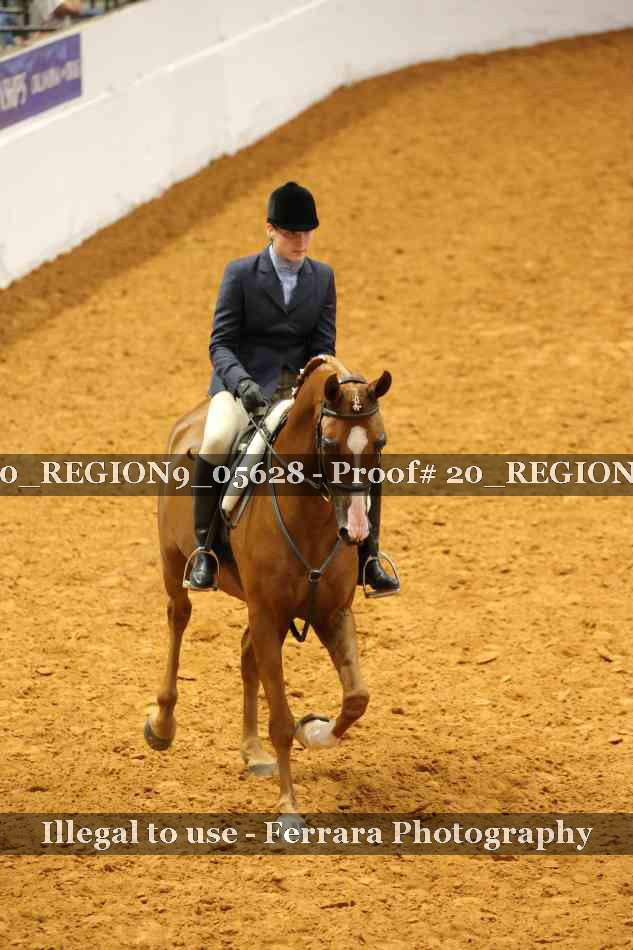 Proof 20_REGION9_05628