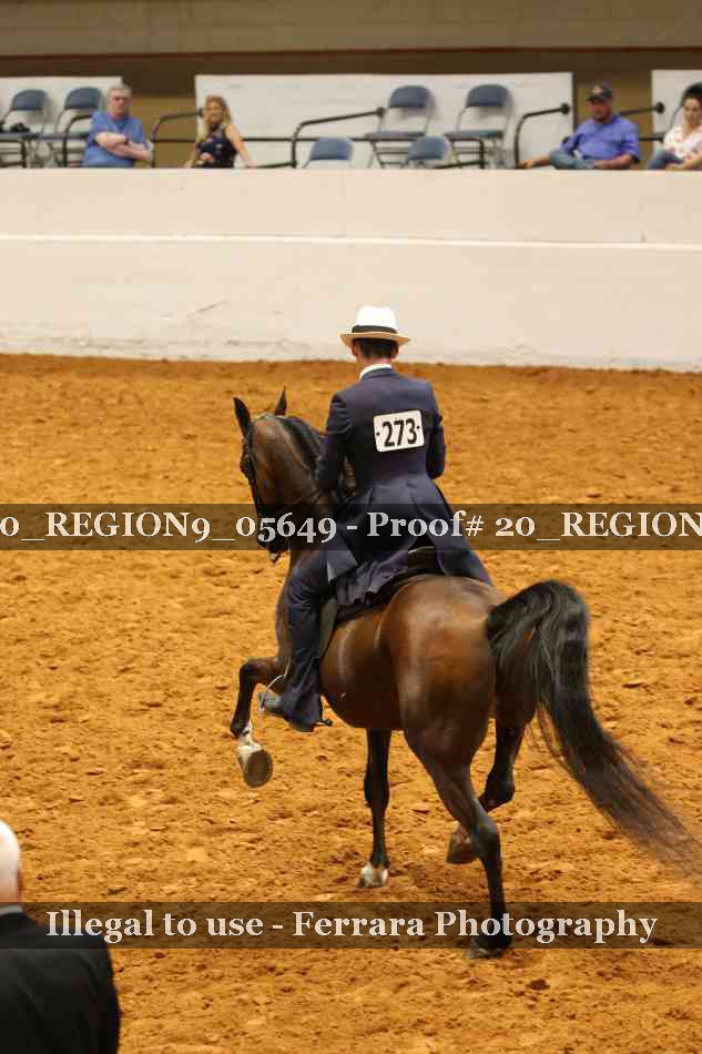 Proof 20_REGION9_05649