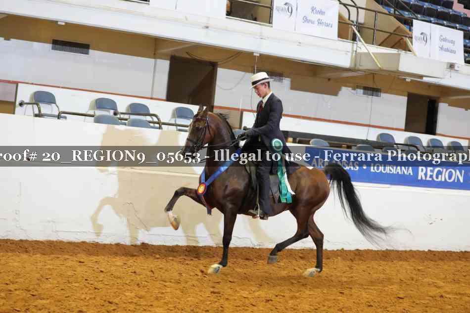 Proof 20_REGION9_05653