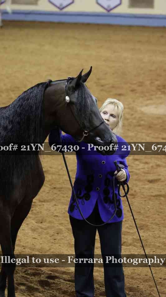 Proof 21YN_67430