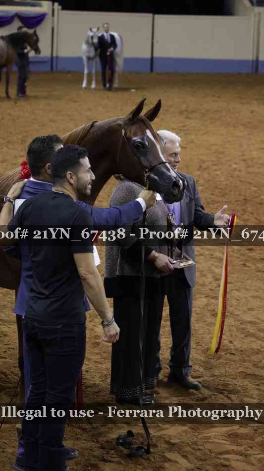 Proof 21YN_67438