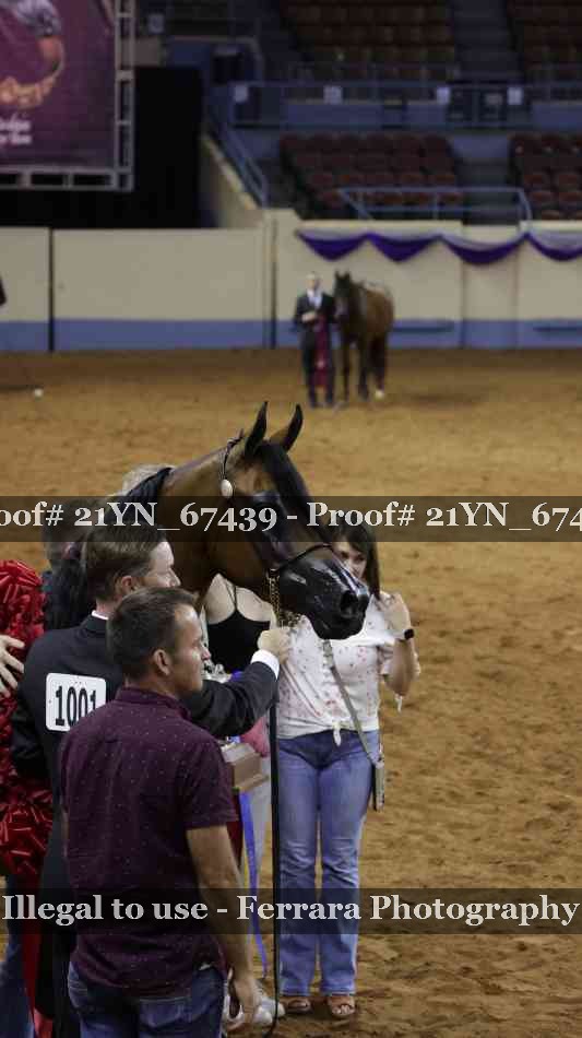 Proof 21YN_67439