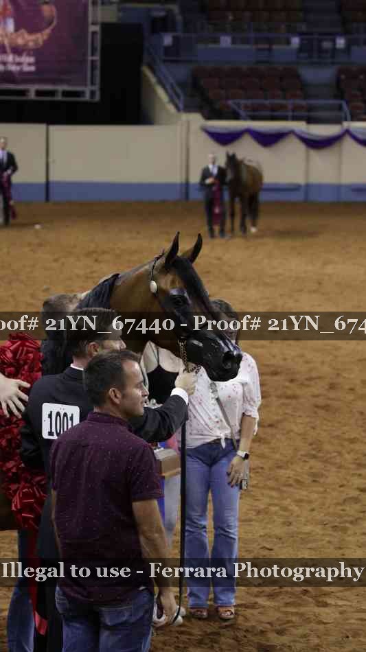 Proof 21YN_67440