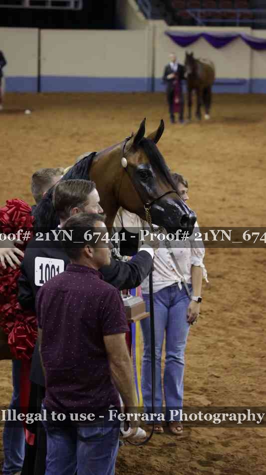 Proof 21YN_67441