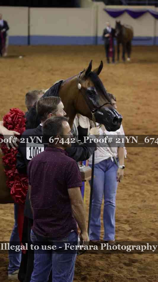 Proof 21YN_67442