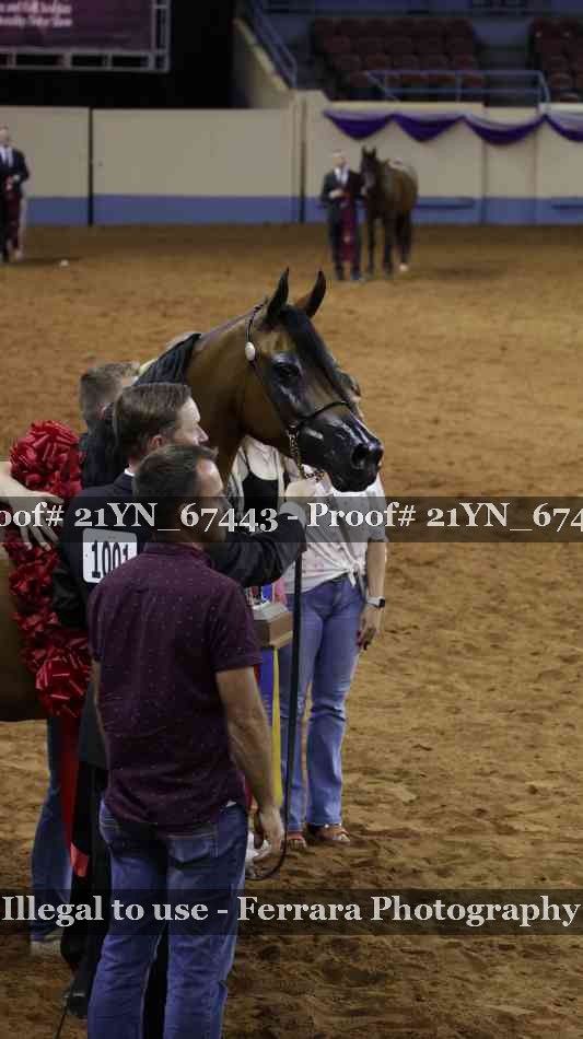 Proof 21YN_67443
