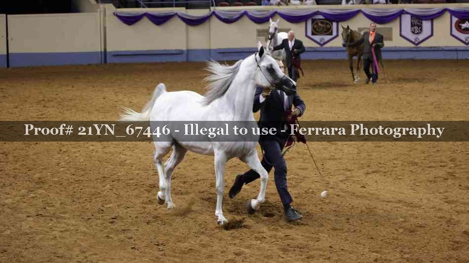 Proof 21YN_67446