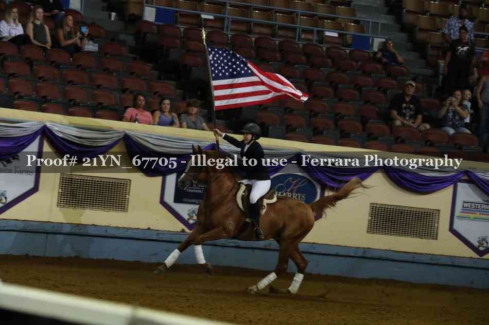 Proof 21YN_67705