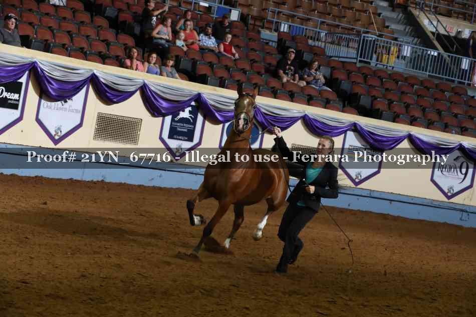 Proof 21YN_67716