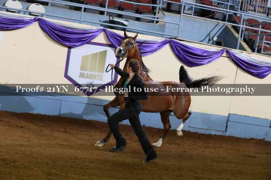 Proof 21YN_67717