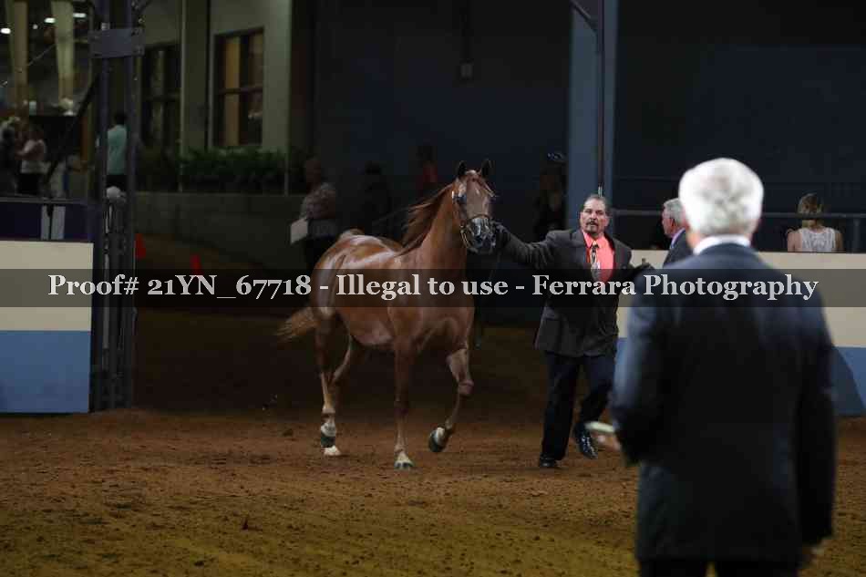 Proof 21YN_67718