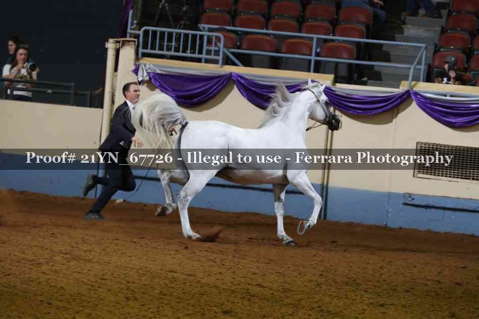 Proof 21YN_67726