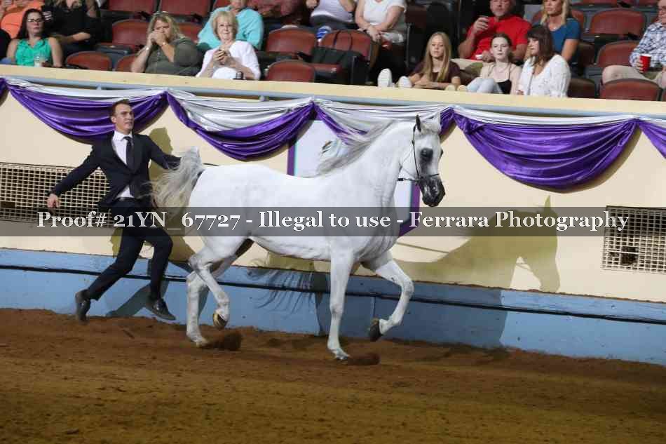 Proof 21YN_67727