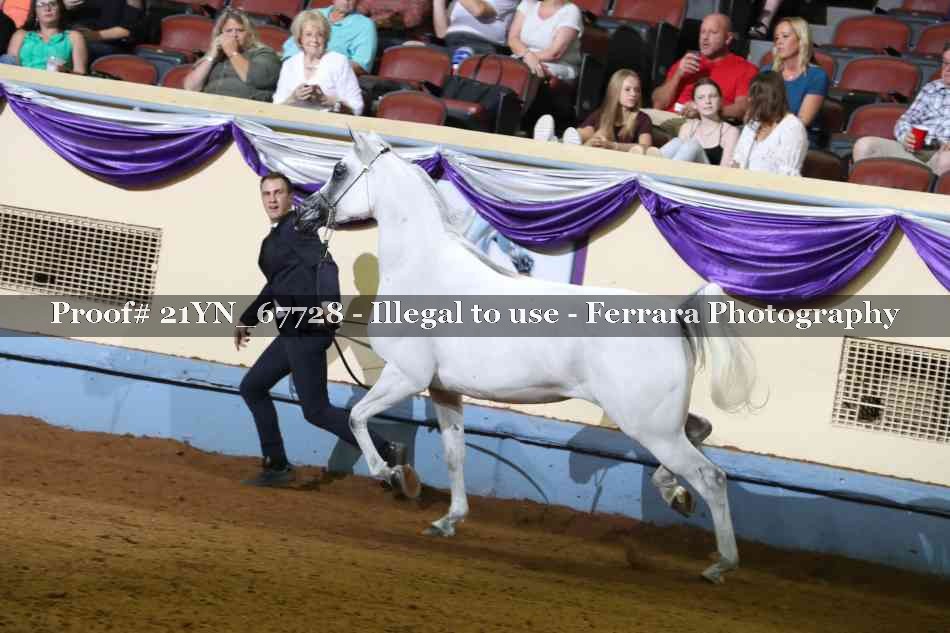 Proof 21YN_67728