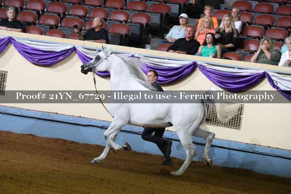 Proof 21YN_67729