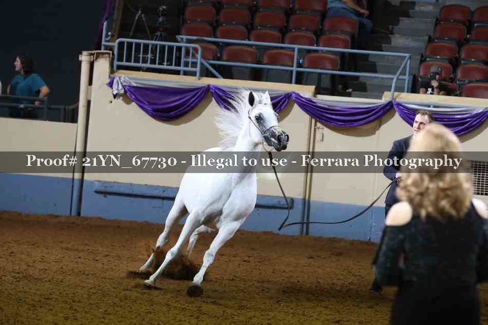Proof 21YN_67730