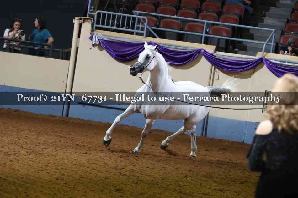 Proof 21YN_67731