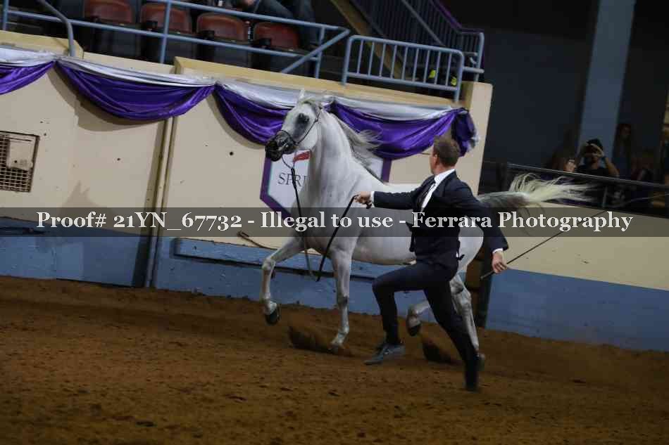 Proof 21YN_67732