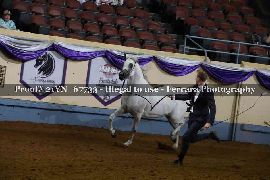 Proof 21YN_67733