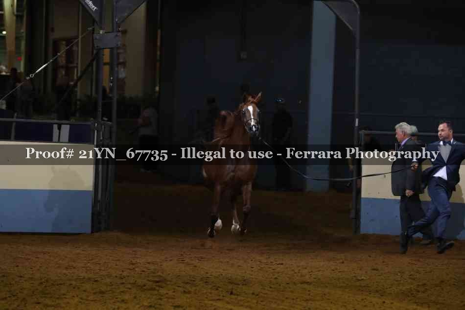 Proof 21YN_67735