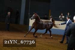 21YN_67736 proof