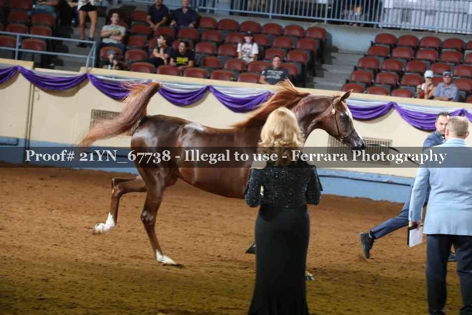Proof 21YN_67738