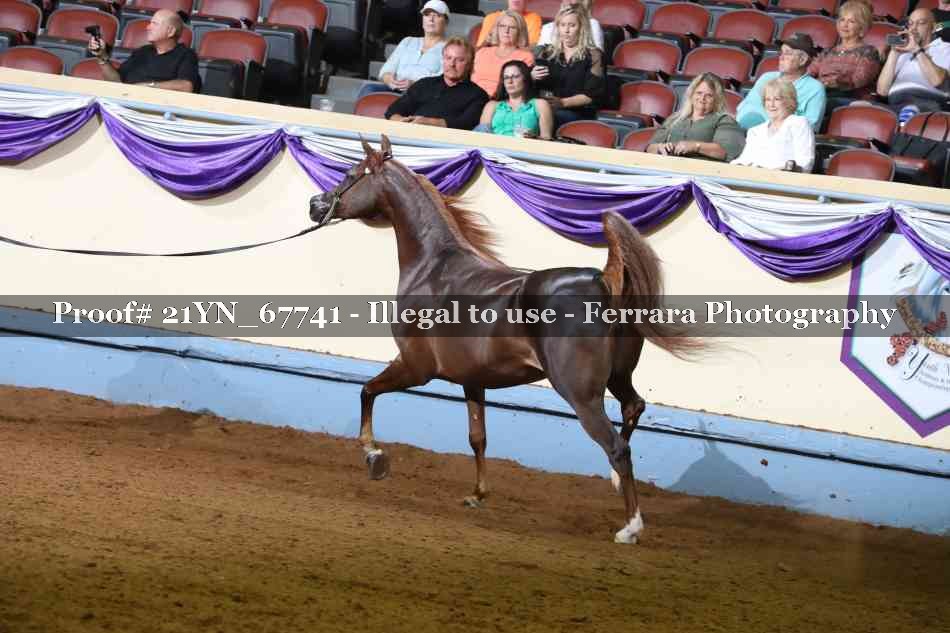 Proof 21YN_67741