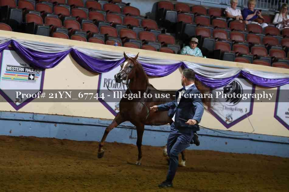 Proof 21YN_67744