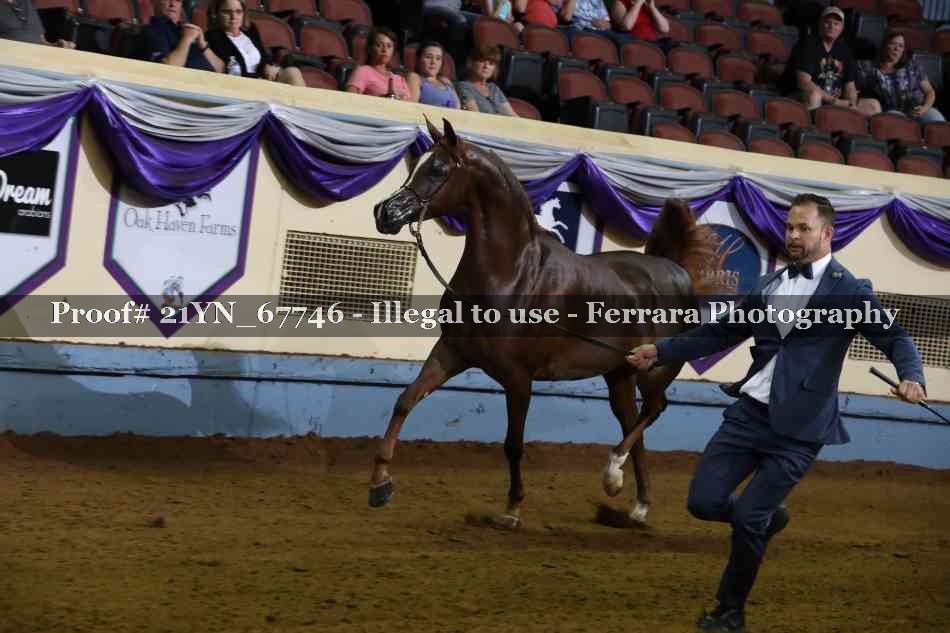 Proof 21YN_67746