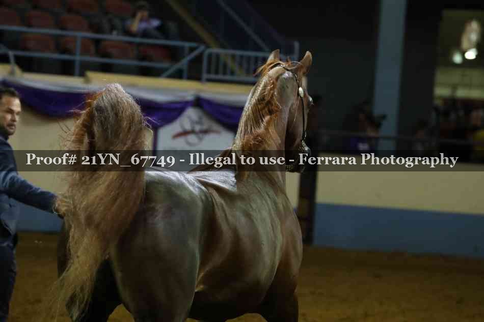 Proof 21YN_67749