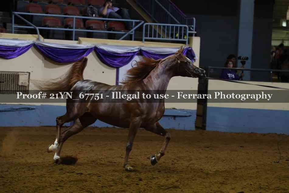 Proof 21YN_67751