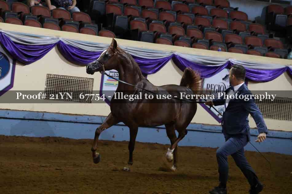 Proof 21YN_67754