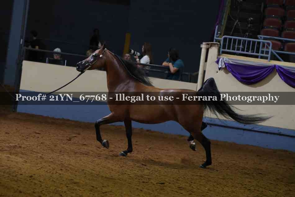 Proof 21YN_67768