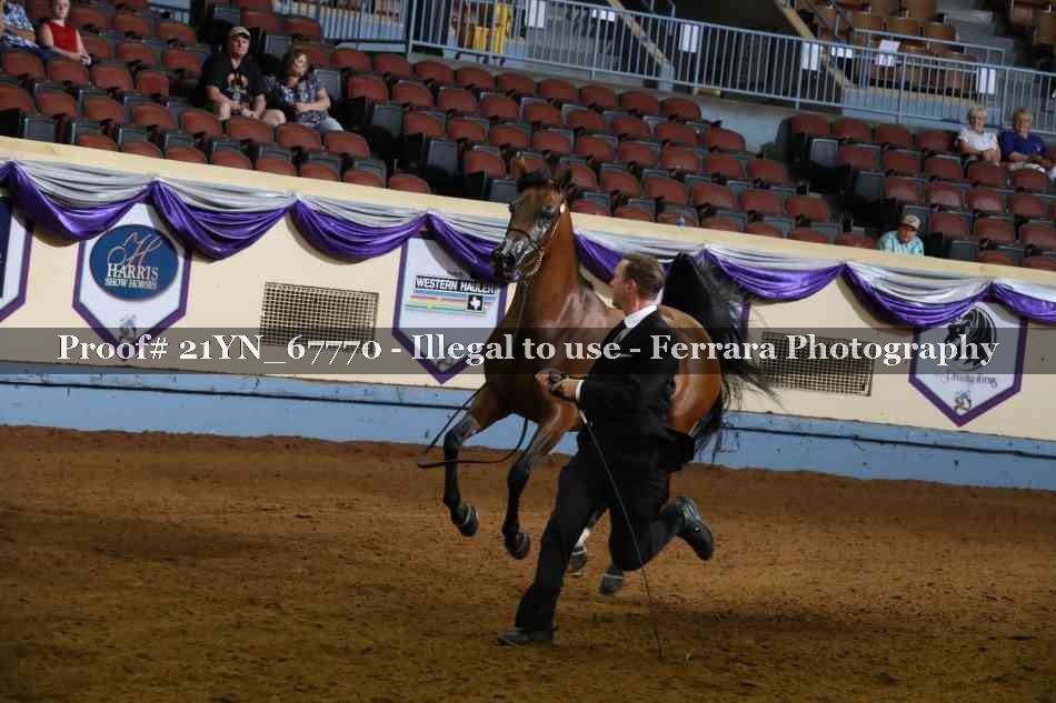 Proof 21YN_67770