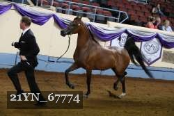 21YN_67774 proof