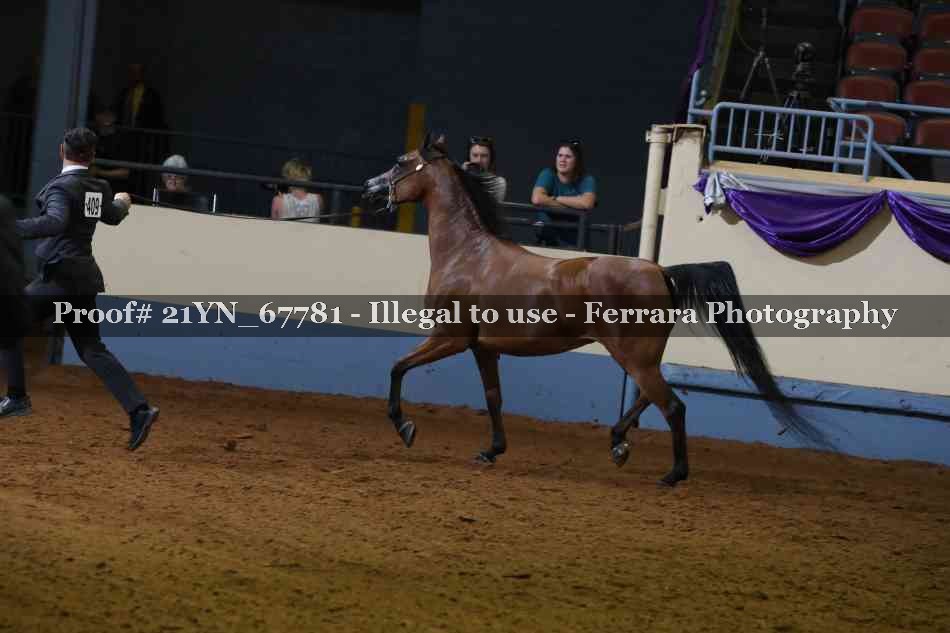 Proof 21YN_67781