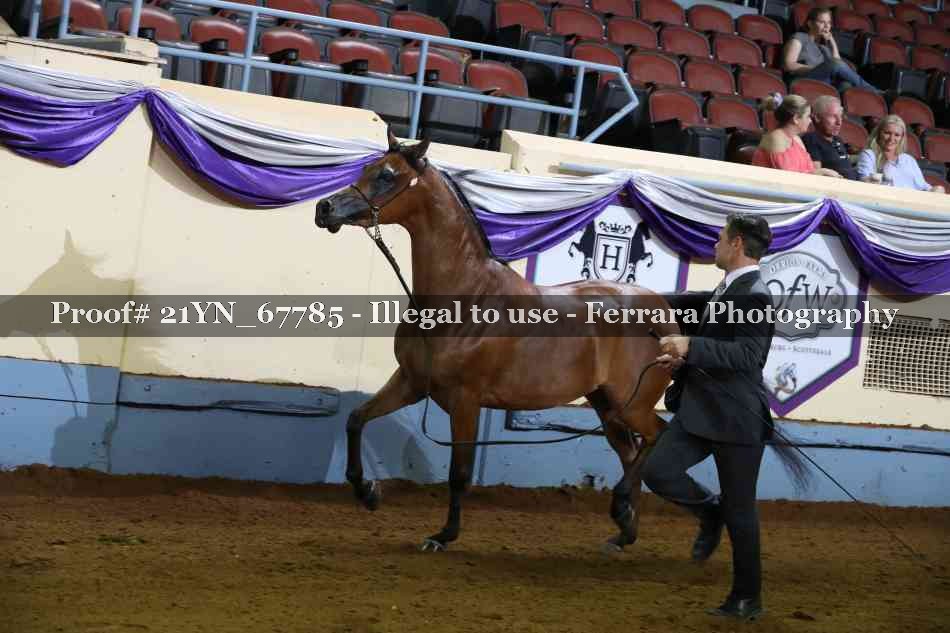 Proof 21YN_67785