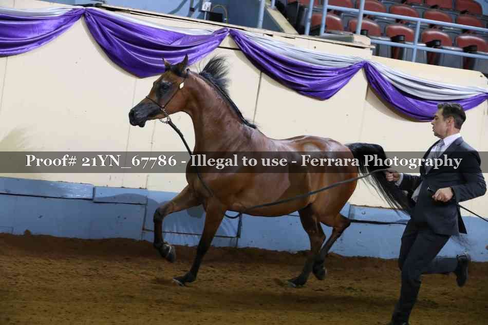 Proof 21YN_67786
