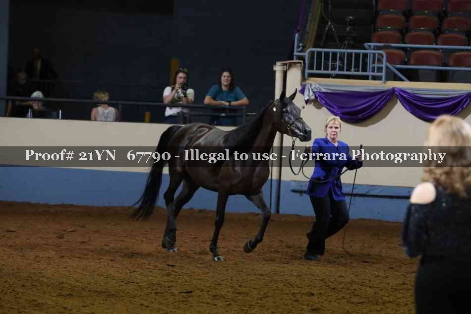 Proof 21YN_67790