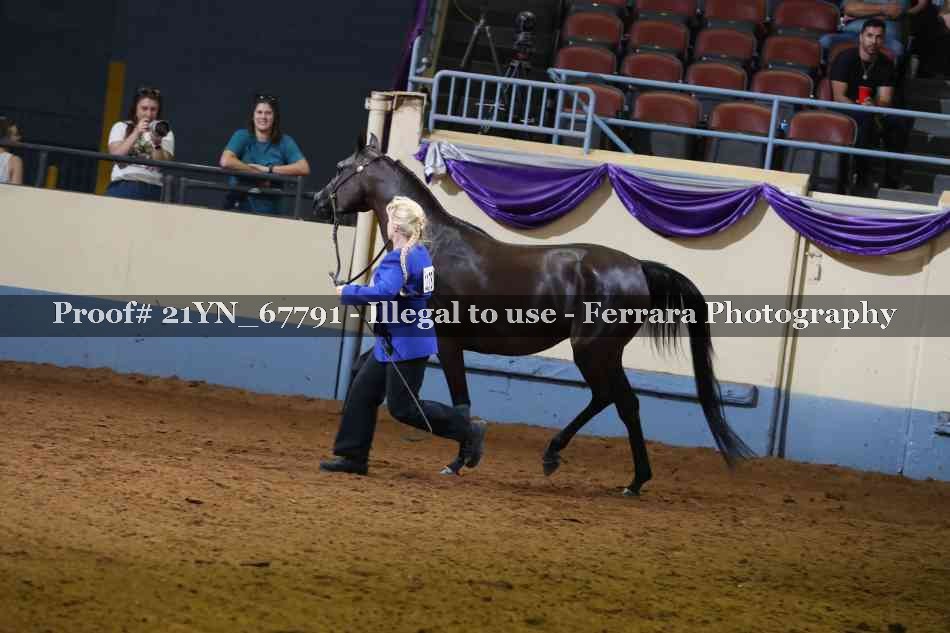 Proof 21YN_67791