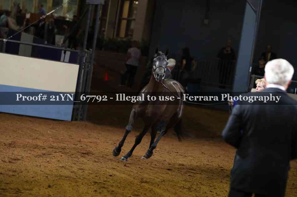 Proof 21YN_67792
