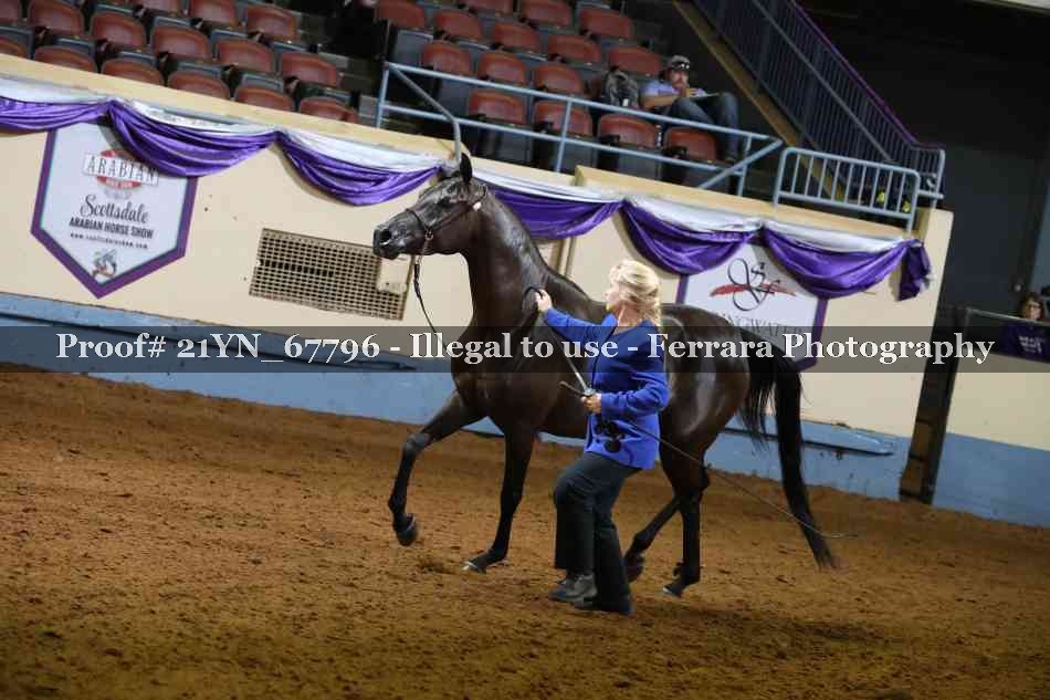 Proof 21YN_67796