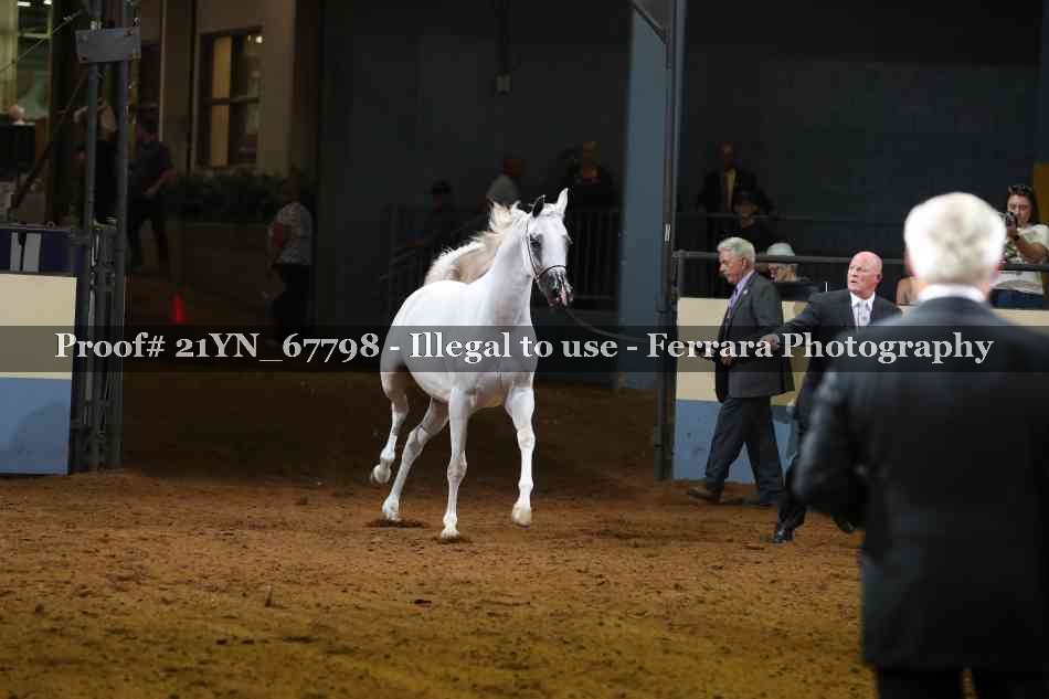 Proof 21YN_67798