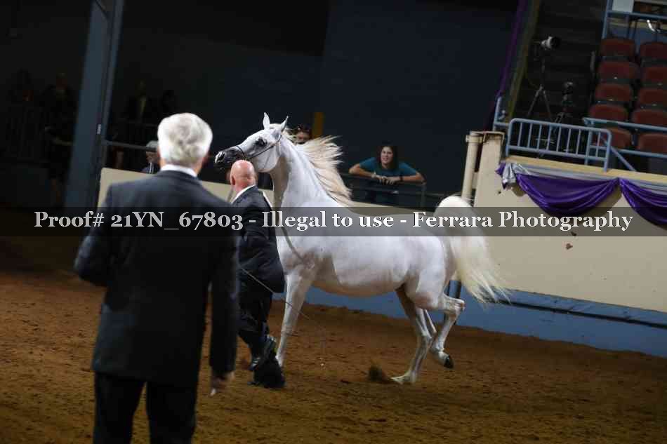 Proof 21YN_67803