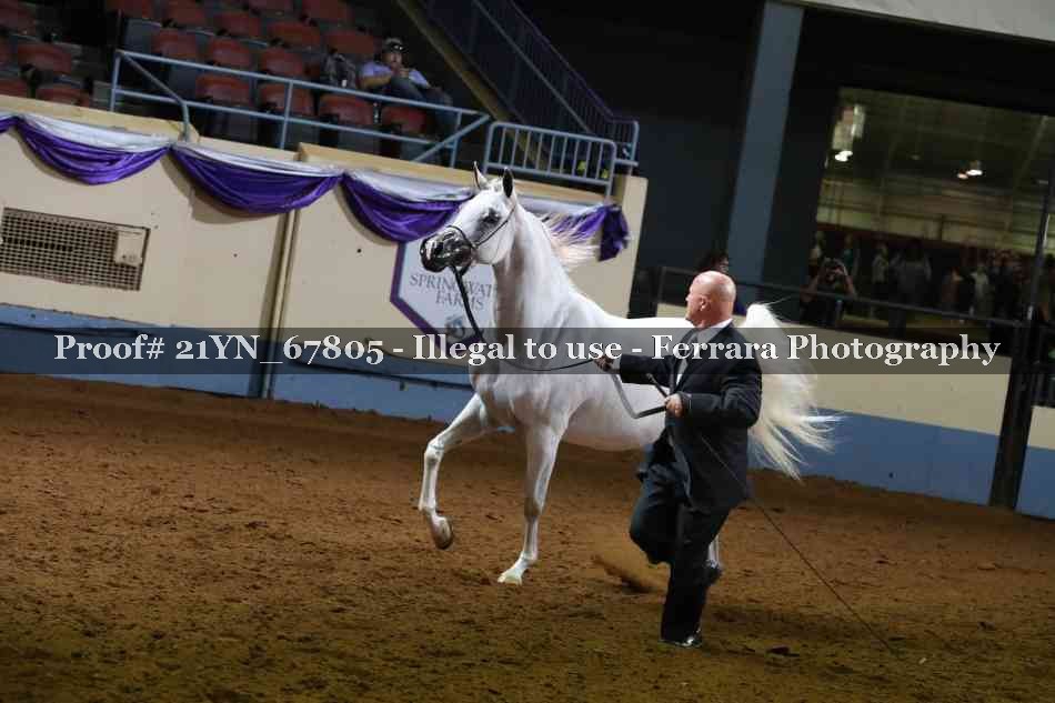 Proof 21YN_67805